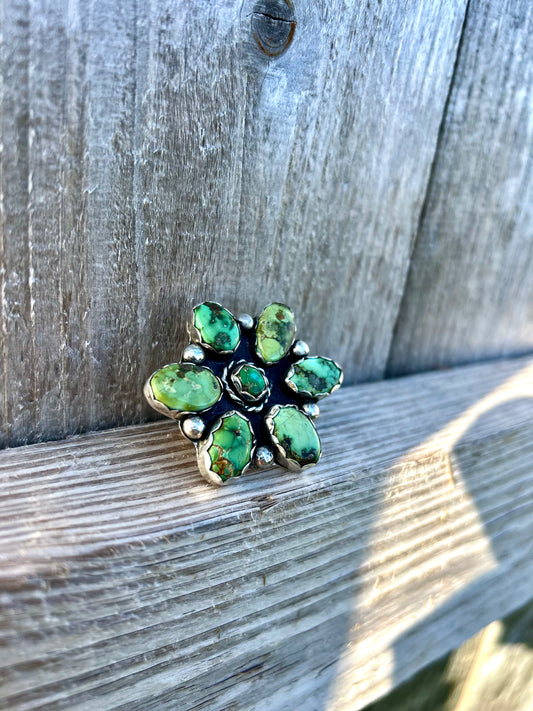 Sonoran Cluster Ring